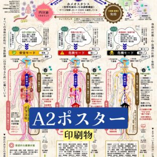 心と身体の3モード《A2ポスター(印刷物) ×1枚》