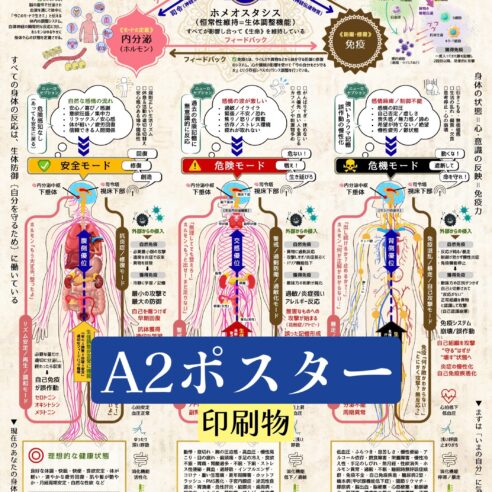 心と身体の3モード《A2ポスター(印刷物) ×1枚》