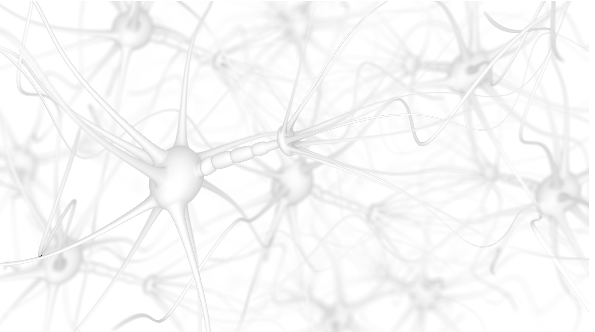 プライバシーポリシー