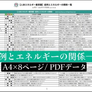 症例とエネルギーの関係一覧《A4×9ページ/PDFデータ》