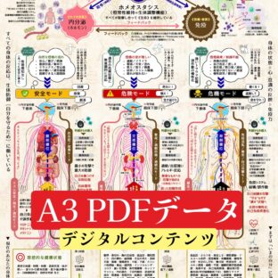 心と身体の3モード《A3/PDFデータ》