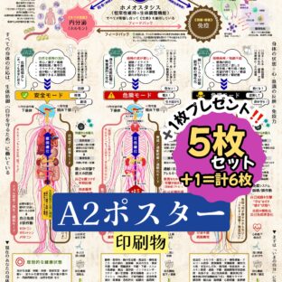 心と身体の3モード《A2ポスター×5枚セット(印刷物) 》【感謝で➕1枚プレゼント❗️＝合計6枚セット（1枚当たり@1,250円）】